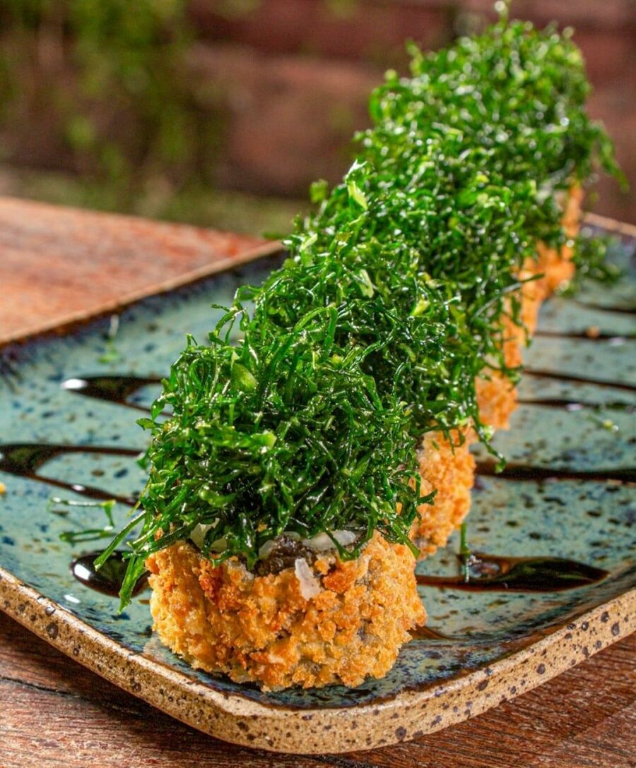 Imagem WhatsApp Image 2026-04-10 at 155832 1